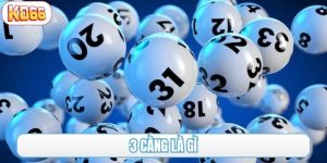 3 càng là gì