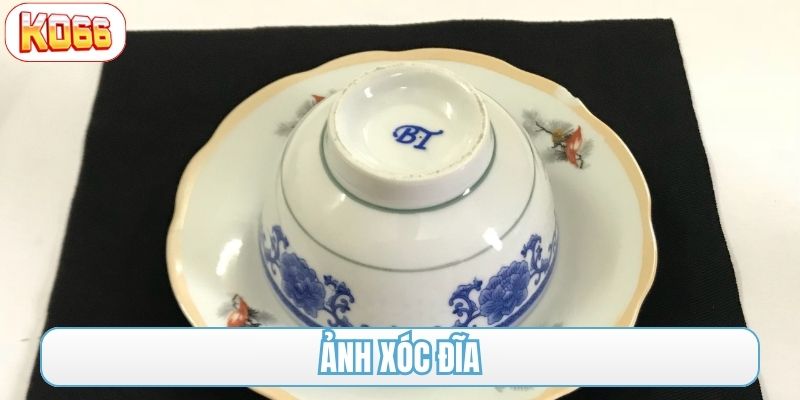 ảnh xóc đĩa