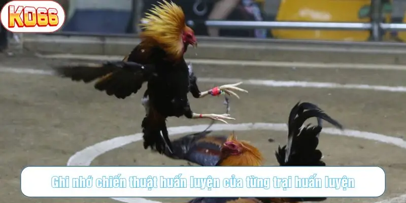 Ghi nhớ chiến thuật huấn luyện của từng trại huấn luyện