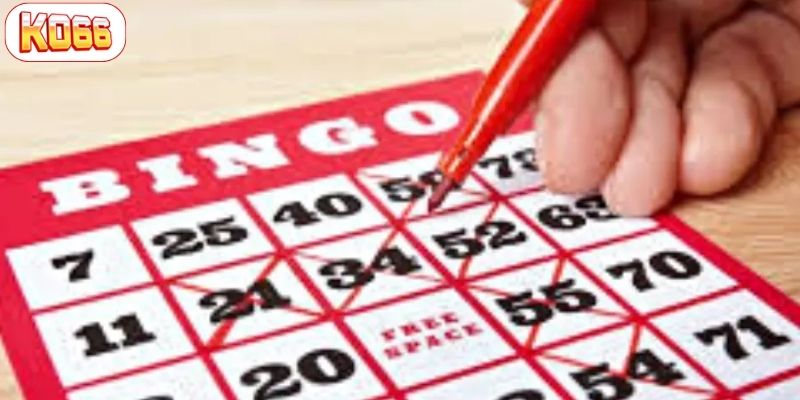 bingo là gì