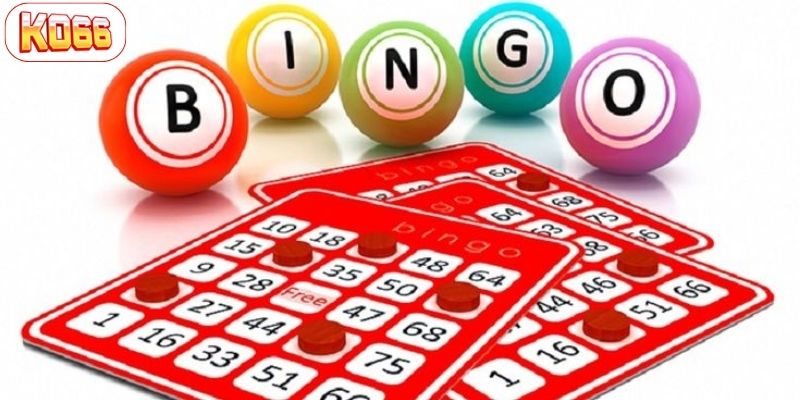 bingo là gì