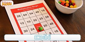 bingo là gì