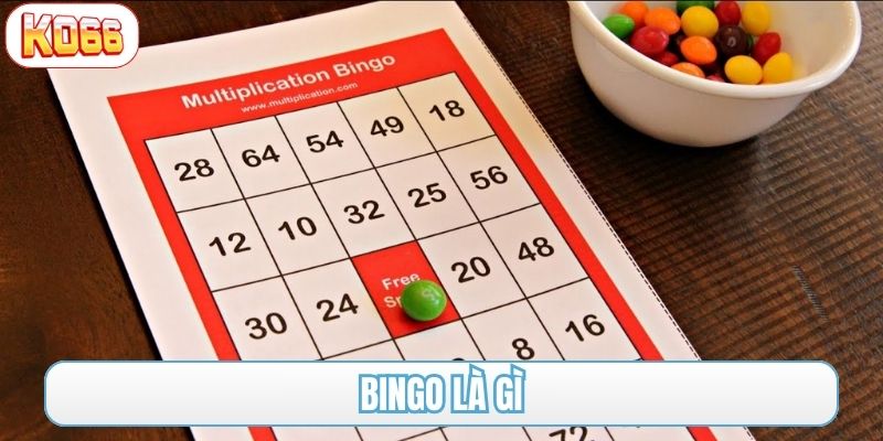 bingo là gì