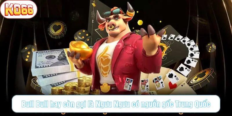Bull Bull hay còn gọi là Ngưu Ngưu có nguồn gốc Trung Quốc