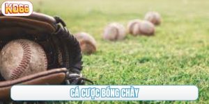 cá cược bóng chày