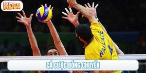 cá cược bóng chuyền