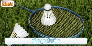 cá cược cầu lông