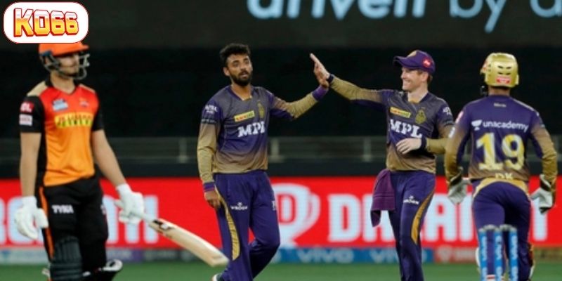 cá cược cricket