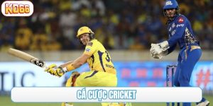 cá cược cricket