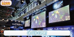 cá cược esport