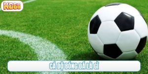 cá độ bóng đá là gì