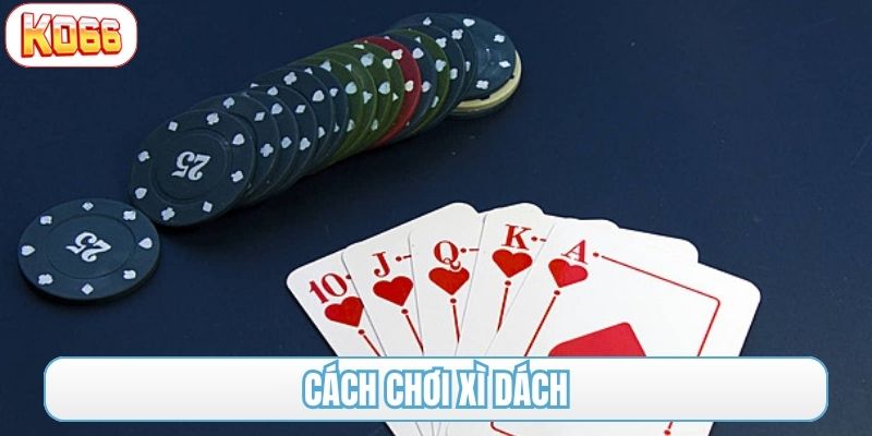 cách chơi xì dách