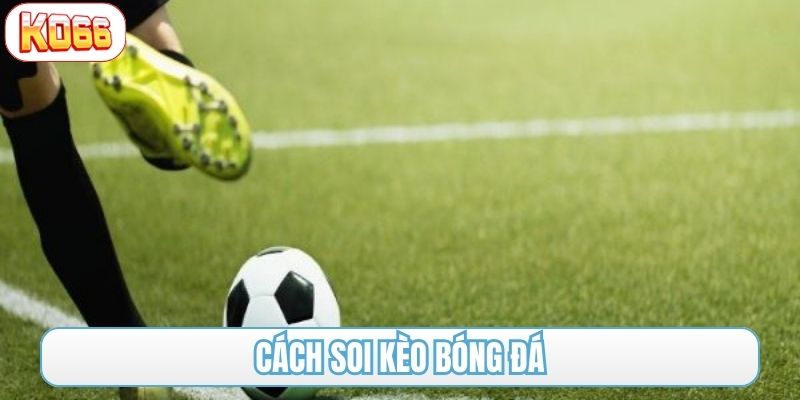 Cách soi kèo bóng đá