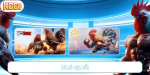 chơi đá gà cựa sắt với KO66