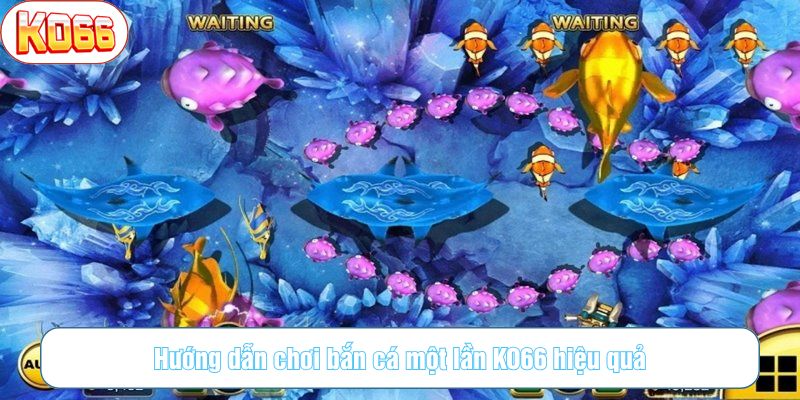 Có nhiều cấp độ súng để bạn linh hoạt điều chỉnh