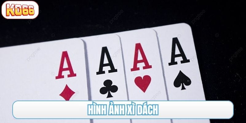 hình ảnh xì dách