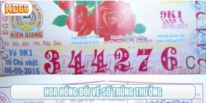 Hoa hồng đổi vé số trúng thưởng