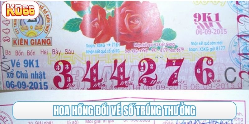 Hoa hồng đổi vé số trúng thưởng