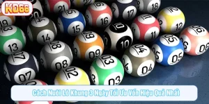 KO66 hướng dẫn nuôi lô khung 3 ngày