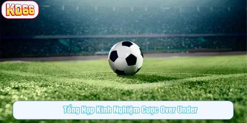 Tổng hợp các tips cược hay nhất