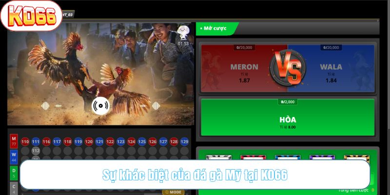 Hình ảnh rõ nét giúp quan sát từng phản xạ của chiến kê
