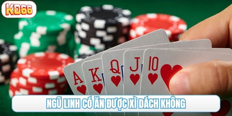 ngũ linh có ăn được xì dách không