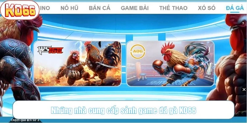 Những nhà cung cấp chính cho KO66
