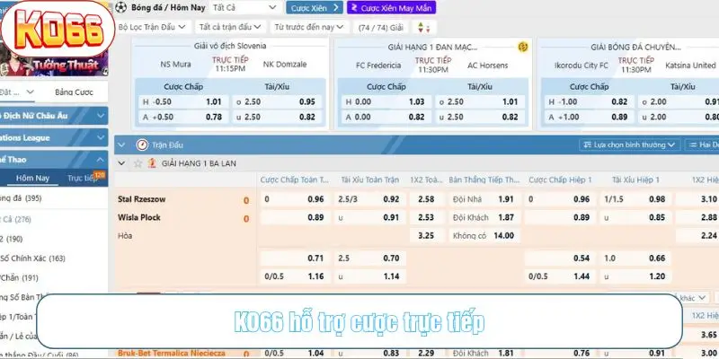 Hỗ trợ đặt cược trực tiếp tại sảnh live